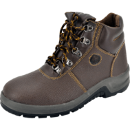 Darwin 2 S1 - Brown